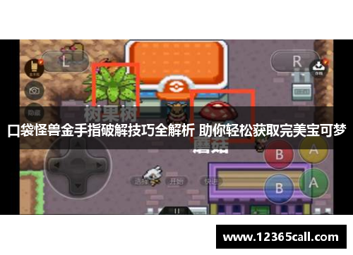 口袋怪兽金手指破解技巧全解析 助你轻松获取完美宝可梦