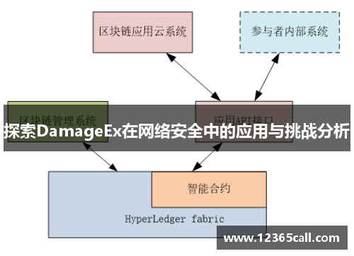 探索DamageEx在网络安全中的应用与挑战分析