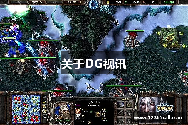 关于DG视讯